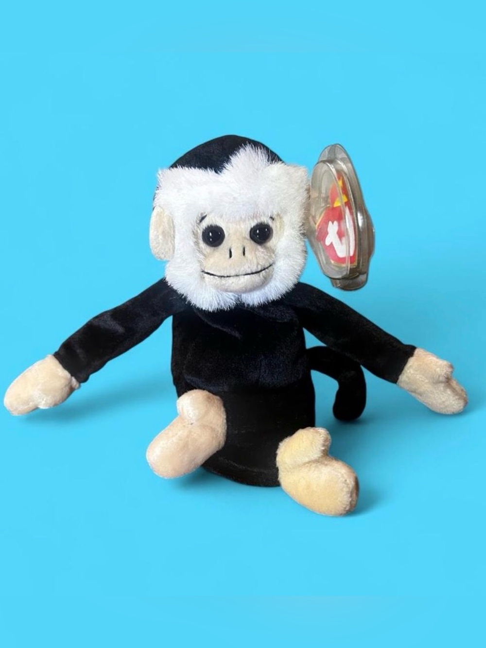 Ty Beanie Baby Mooch